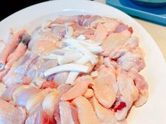 -百年果林椰子鸡(中洲店)