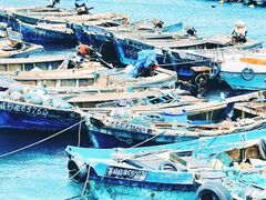 -悦海公园