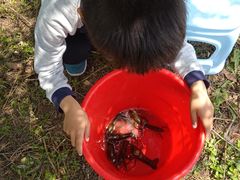 -前小桔亲子创意农场·草莓采摘·露营烧烤