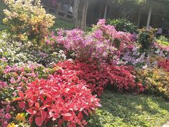 -广州雕塑公园