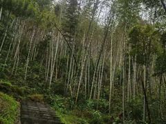 -梅岭月亮湾山体公园