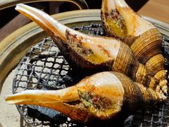 炭烧响螺片-潮汕味道煮海餐厅(金麟大厦店)