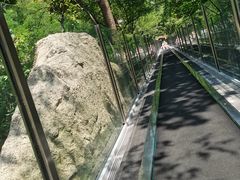 -嵖岈山风景区