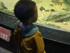 -江和美海洋公园