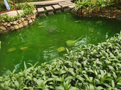 -嘉和K6温泉微度假