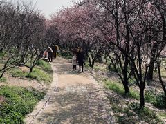 -无锡梅园公园