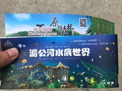 -西双版纳原始森林公园