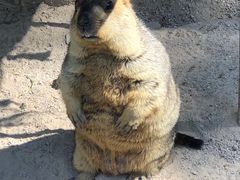 -云南野生动物园