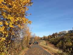 -Tony Knowles Coastal Trail