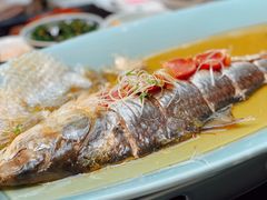 清蒸鲥鱼-夜上海(新天地店)