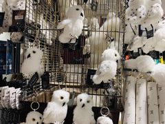 -九又四分之三站台哈利波特商店