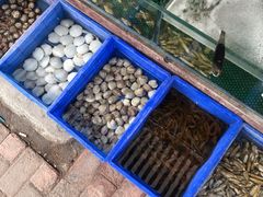水产区-香满居张记小厨私房菜(青岛站店)