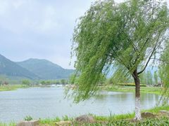 -径山花海