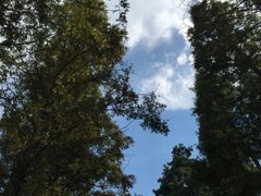 -同里国家湿地公园
