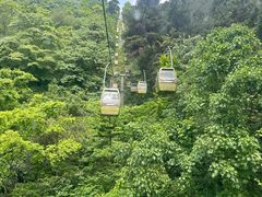 -黔灵山公园