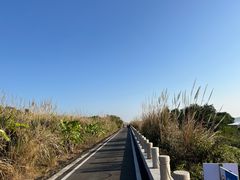 -芒洲湿地公园
