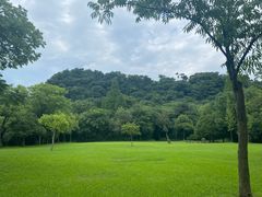 -柯岩风景区