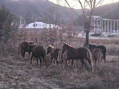 -翠云山银河滑雪场