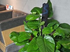 -云川台球(马甸店)