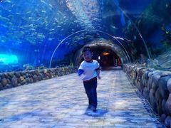 -华夏文旅海洋公园