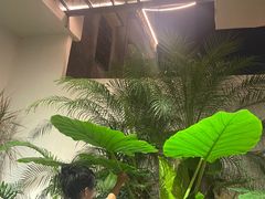 -漫笙舍Manse·咖啡·民宿