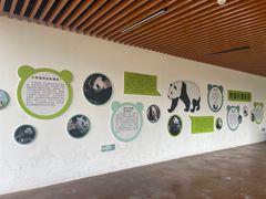 -宁波野生动物园
