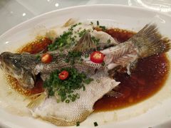 加洲鲈鱼-渔旺喜宴(银座店)