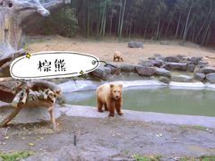 -宁波野生动物园