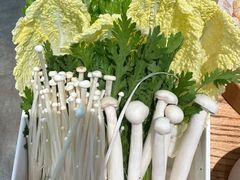 -荷塘码头·活鱼现杀(椒江店)