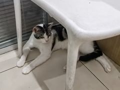 -美迦爱-牙专科·兔科·骨科诊疗中心(北苑店)