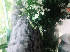 -小时光咖啡馆(北锣鼓巷店)