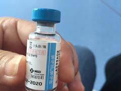 -伟伟宠物医院·CT影像中心·瑞派犬猫综合性门诊(汉口总院)