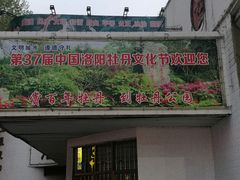 -洛阳市牡丹公园