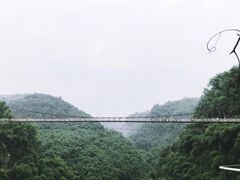 -川西竹海景区