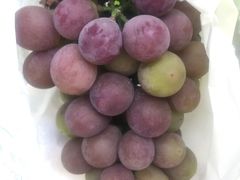 -马陆小张葡萄园农家乐