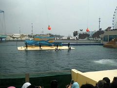 -秦皇岛乐岛海洋王国