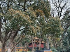 -普陀山风景名胜区-法雨禅寺