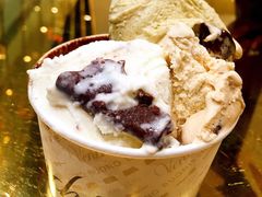 明星奶油巧克力碎双倍榛子开心果-VENCHI 闻绮(北京国贸商城店)