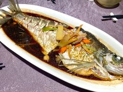 清蒸大白刀鱼-宣和苑(华侨新村店)