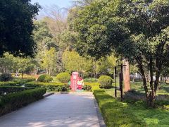 -上海佘山国家森林公园天马山园