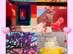 -故宫博物院(故宫)
