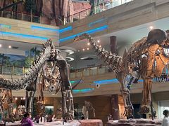 -安徽省地质博物馆