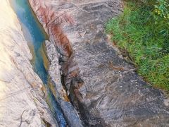 -广州白江湖森林公园