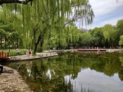 -玲珑塔公园