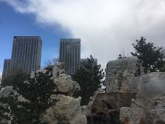 -西海子公园