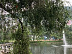 -大埔公路-马料水段香港中文大学(公交站)