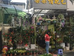 -溪岸路花鸟市场