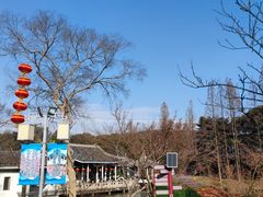 -无锡梅园公园