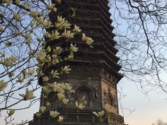 -玲珑塔公园