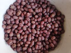 -天津东丽湖风景区